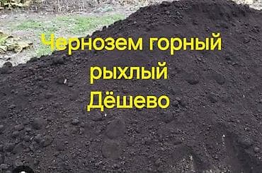 бу отун: Тонна менен, Зил — 1