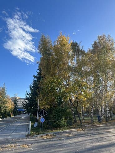 una laguna иссык куль: Батир, | Кыргызское взморье, Бостери, Бассейн, Бильярд, Коргоодогу аймак — 17