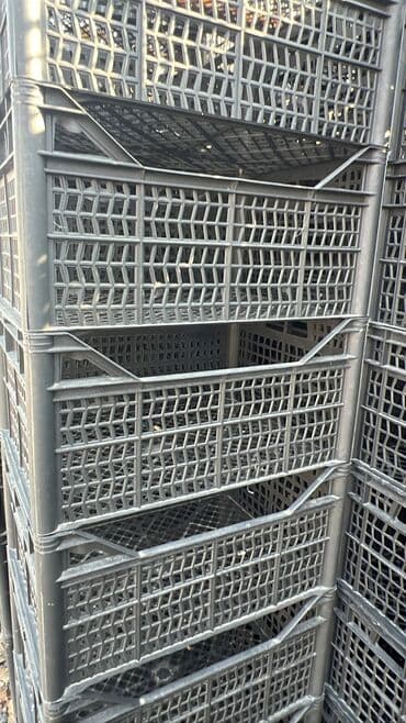 старый буфет: Пластиковый Ящик — 15