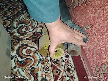 michelin pilot: Аккумулятор 100 и более Ач — 2