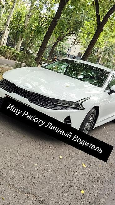 Услуги переводчика: Услуги переводчика — 1