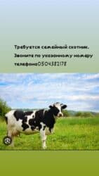 полироль авто: Требуется сотрудник, Оплата Ежемесячно — 2