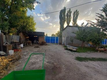 квартира дом бишкек: 2 бөлмө, 55 кв. м, Хрущевка, 1 кабат — 6