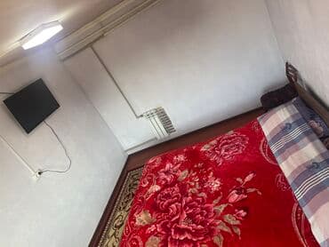 можно с животными: 20 м² — 2