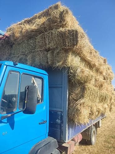 Кормораздатчики: Mercedes-Benz Vario: 1993 г., 4 л — 4