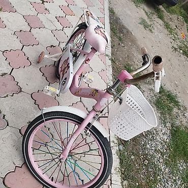 Балдар транспорту: Балдар үчүн велосипед, 2 дөңгөлөктүү, 4 - 6 жаш, Кыз үчүн — 4