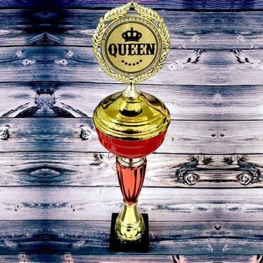 продаю медали: Кубок с гравировкой, любой логотип и любой текст входит в стоимость — 6