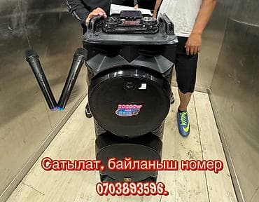 Портативная акустическая система для вечеринок/караоке. - Мощность