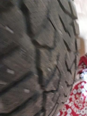 шипованная: Зимняя шина (шипованная) 225/60 R18 - Тип: зимняя, с шипами - Размер — 4