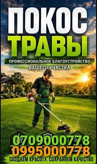 Клининговые услуги: Уборка территории — 1