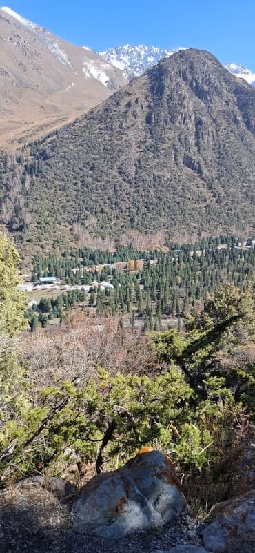 купить рогатку для охоты: Бинокль с увеличением 20x и объективом 50 мм. Корпус черного цвета с — 9