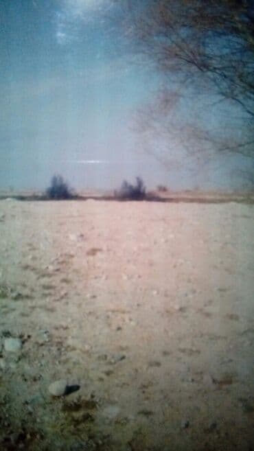 квартира продаётся бишкек: Куплю дачный участок незастроенный.недорого — 1