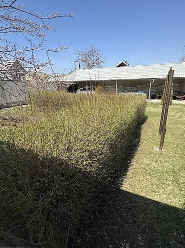 малочай миля: Декор для дома и сада, Декоративный забор, Самовывоз — 4