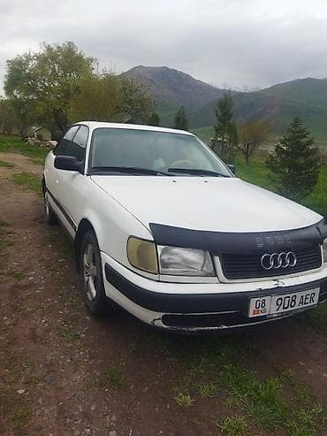 Audi 100: 1993 г., 2.3 л, Ручные, Бензин, Седан