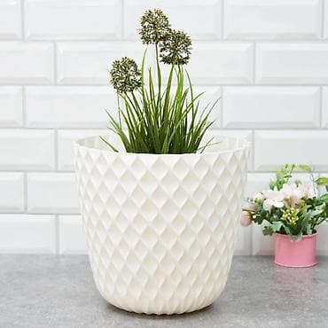 4 pot: Другие садовые инструменты и инвентарь, Платная доставка, Самовывоз — 2