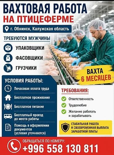 Работа: Требуется Упаковщик, Оплата: Почасовая — 1
