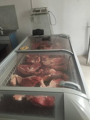 полки мебель: Для мяса, мясных изделий — 1