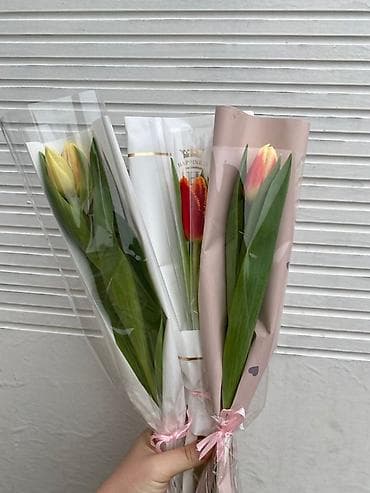 бахрома: Тюльпаны в индивидуальной упаковке - Ассортимент: однотонные и — 3