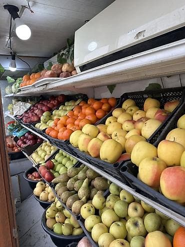 Муздатуучу жабдуулар: Сүт азыктары үчүн, Эт, эт азыктары үчүн, Кондитердик, Колдонулган — 3