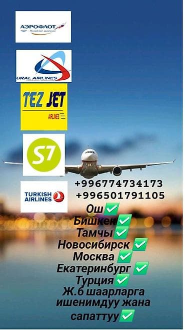 Аренда квартиры на Иссык-Куле, Тамчы