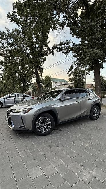 byd e7: Lexus UX: 2020 г., Электромобиль, Кроссовер — 2