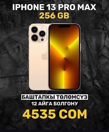 IPhone 13 Pro Max, 256 ГБ, Бөлүп төлөө менен