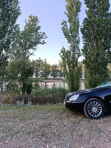 210 cdi: Mercedes-Benz S-Class: 2002 г., 3.2 л, Автомат, Бензин, Седан — 3
