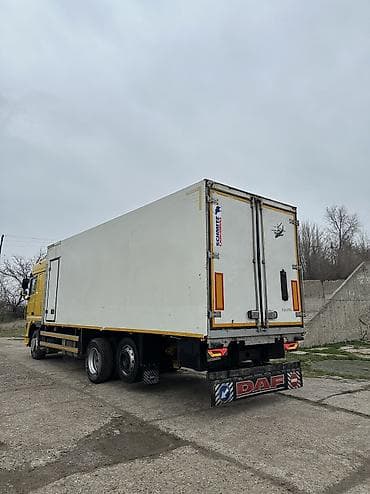 муравьинная ферма: Грузовик, DAF, Стандарт, Б/у — 6