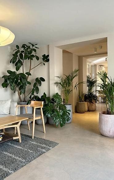 ремонт аквариума: “GREEN SANSARA” Уход за комнатными растениями! Что входит: - Полив — 5