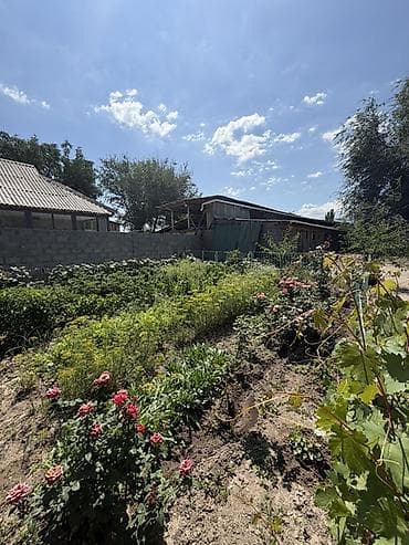 Үйлөр: 📍 В Гавриловке продается дом на участке 17 соток, 65 кв.м. 🏡Дом — 5