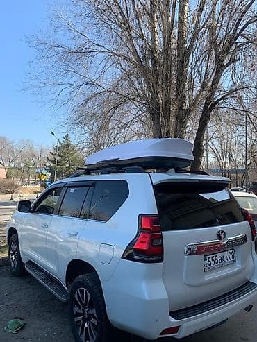 зимный сапок: Автобокс 235 см, 900 л — 2