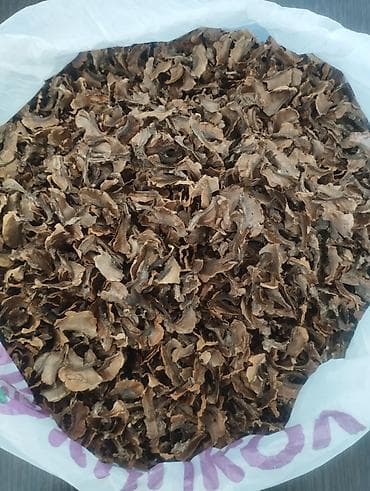 Продаю перегородки грецкого ореха для настойки