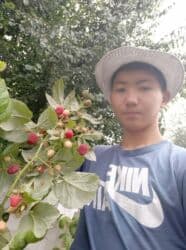 семена микрозелени бишкек: Другие виды семян и саженцев — 6