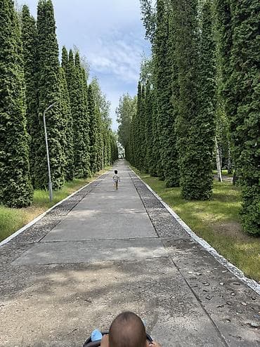 Квартиры: 3 комнаты, 70 м², 3 этаж, Косметический ремонт — 1