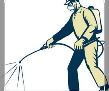 дезинфекция бишкек цены: Дизинфекция помещений от клопов дешево в любое время гарантия качества — 1