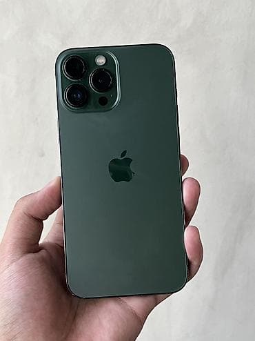 IPhone 13 Pro Max, Б/у, 128 ГБ, Alpine Green, Чехол, 77 % — 1