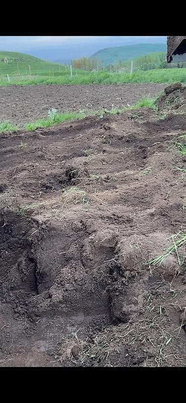продам масло: Чернозём/плодородная земля Горная в Любых Количествах - Натуральный — 1