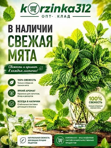 салатный лист: Свежая мята — отборные пучки с ярким натуральным ароматом — 1
