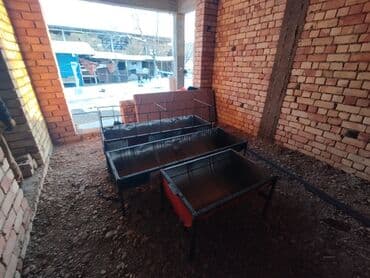 отдам животных в хорошие руки: Акур койлорго суу акыр — 10