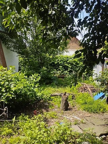 церковь: Дом 70 м², 3 комнаты, участок 4 сотки - Район: Т. Молдо / Васильева - — 4