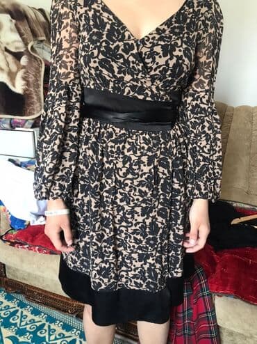 продажа быков: Продаю | Ягненок — 1