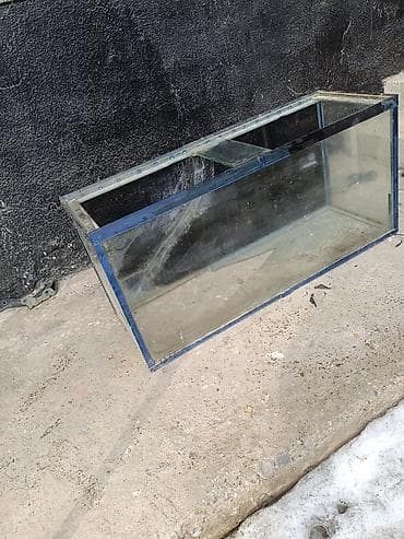 аквариумы купить: Стеклянный аквариум прямоугольной формы. Ещё есть бартер на рыб и — 5