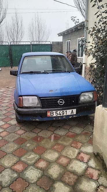 Opel Ascona: 1986 г., 1.6 л, Механика, Бензин, Седан