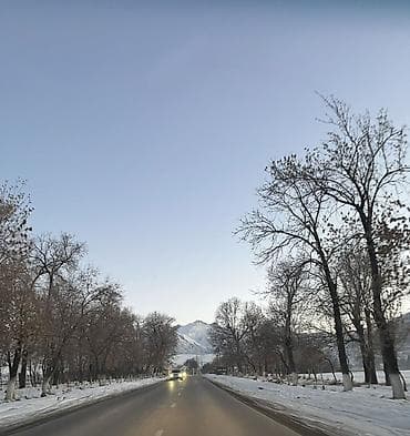 гостиницы аламедин 1: 3 комнаты, Без подселения — 2