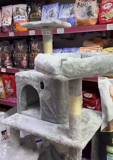 Сдается место в действующем магазине под зоокорма!!!! Канцтовары!!!!