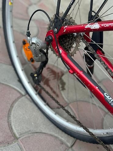 diski r19: Из Германии 
28 колесо — 8