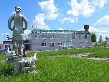 работа вайлдберриз бишкек: Место работы: Россия, Калужская область, Жуковский район, д. Воробьи — 1