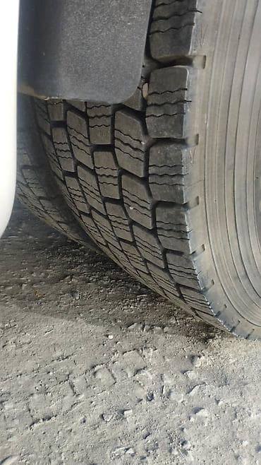 двигатель на нексии: Тягач, DAF, 2007 г., Без прицепа — 3