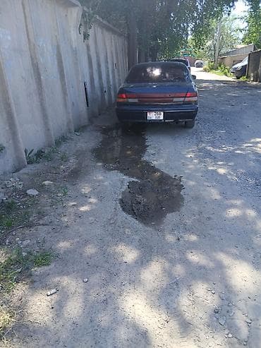 mark 90: Nissan Cefiro: 1995 г., 2 л, Автомат, Бензин, Седан — 1