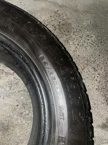 titan diski: Шины 195 / 65 / R 15, Лето, Пара, Легковые, TUNGA — 2